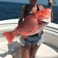 Wide Open Charters and Guide Service