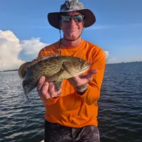 Aquatic Escapes Charters - Tampa Bay