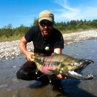 Deep Creek Lodge - Steelhead & Salmon Adventure