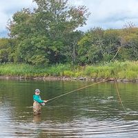 Guided Salmon and  trout fishing