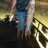 Missouri Bowfishing, Gigging, and Trout