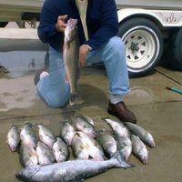 Sport Fishing Lake St Clair