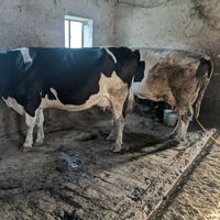 Authentic Bulgaria Fishing Club