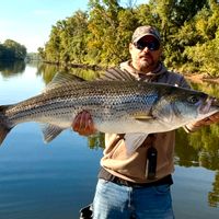 4hr Hybrid and Striped Bass Charter