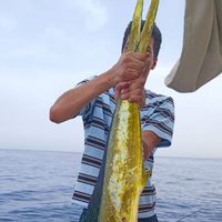 Yellow Fin 1 Sport Fishing