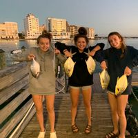 Inshore Fishing Charters - Sarasota