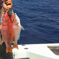 Fishing By Speed Boat Tour - Hurghada