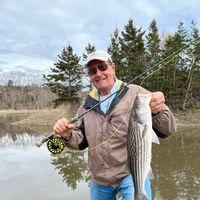 Striped Bass and trout fishing