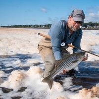 Striped Bass and trout fishing