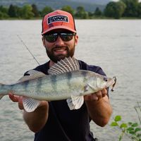 Danube Spinfishing: Zander, Perch & Co