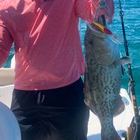 Florida Native Fishing Charters
