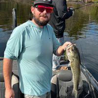 Lake Austin Bass Fishing