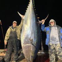 Giant Bluefin Tuna charters