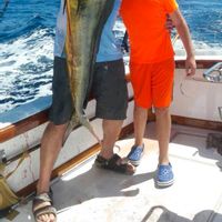 31 ft Magnifico Fishing Charter