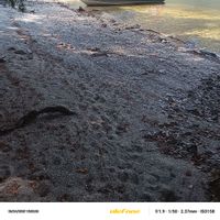 Fiordland South Fiord Fishing