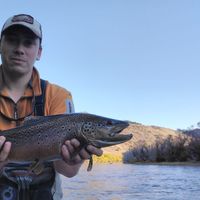 Fly Fishing in Patagonia Argentina