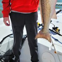 Barefoot Fishing Charters