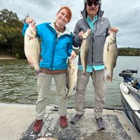 4hr Hybrid and Striped Bass Charter