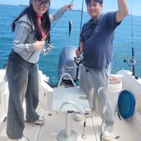 Mackerel Fishing Half Day (3 hrs)