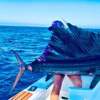 Cabo san lucas fishing Charters