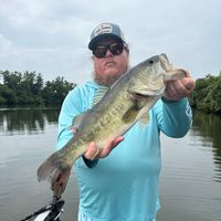 Canyon Lake Bass Fishing Guide