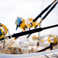 Full Day Fishing in Mauritius