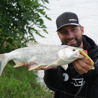 MULTI SPECIES Shore Spinning In Danube