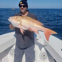 All In Fishing Charters