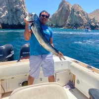 Sportfishing san jose del cabo