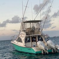 Marlin fishing in Galapagos