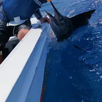 Bad Twins Costa Rica