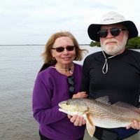 inshore fishing charters