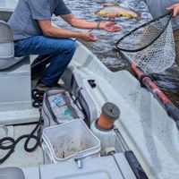 Yellowstone River Guided Fly Fishing