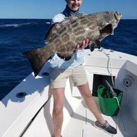 All In Fishing Charters