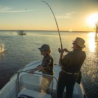 Dorado Fishing at Veracruz Lodge / Argentina