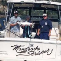 Mongoose Striker Fishing Charters