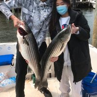 PrimeTimeCharters