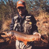 Northern Patagonia
