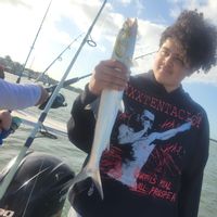 4 Hour Charter – Inshore (PM) $395
