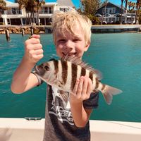 Inshore Fishing Charters - Sarasota
