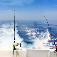 Fishing By Speed Boat Tour - Hurghada