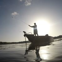 Lake Travis Bass Fishing