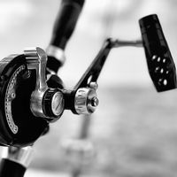 Mid - range fishing vacation