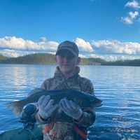 Blue Walleye Outpost Hunting and Fishing