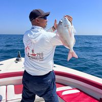 Proanglers Fishing Adventure Abu Dhabi