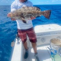 Savage Sportfishing /Florida Keys Fishing Guide