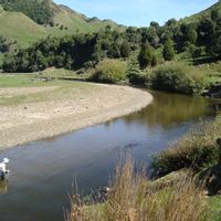 Trophy Trout Guide New Zealand