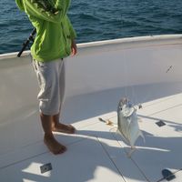 Private Fishing Trip - Ocealics