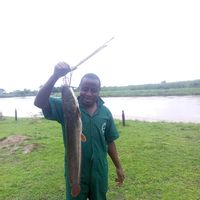 Semliki Fishing River Camp