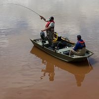 Striped Bass of the Stewiacke